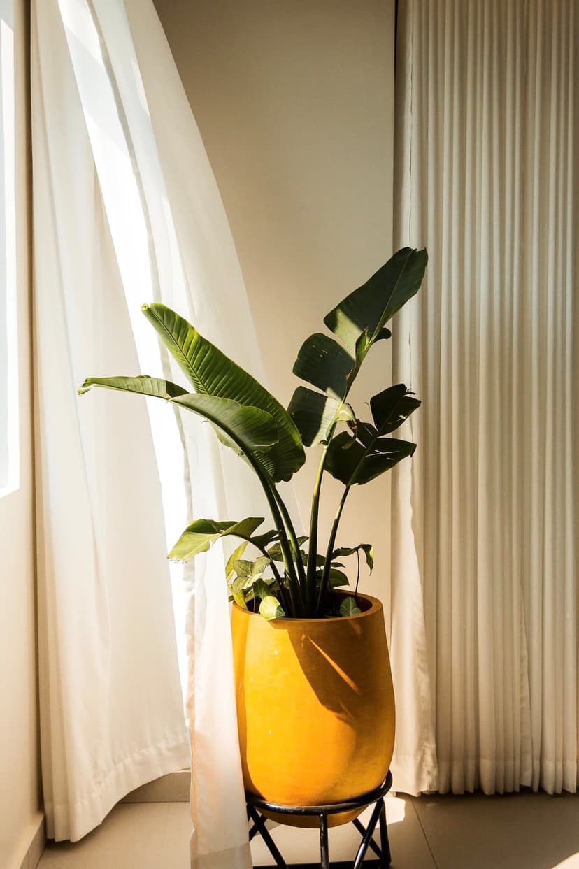  Amahoro Luxury Villa  View